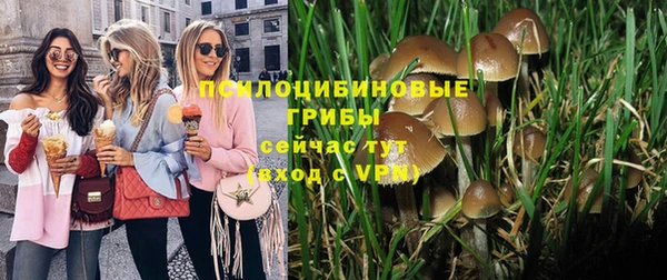 каннабис Каменка