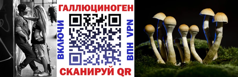 цена наркотик Нефтегорск Псилоцибиновые грибы мухоморы