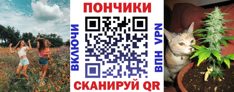 где купить наркоту  мега как войти  Каннабис семена  Нефтегорск 
